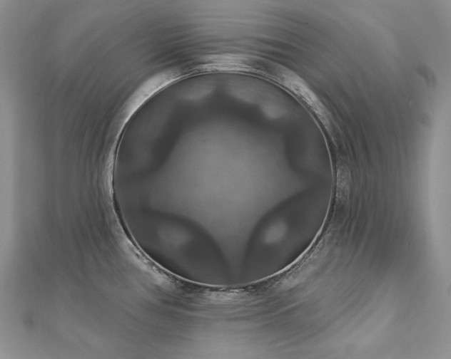X0000113181386200909041334
