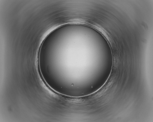 X0000113181387200909041334