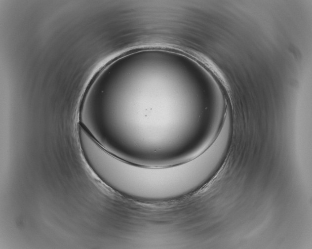 X0000113181388200909041334