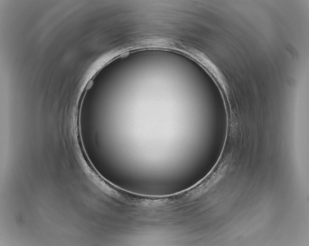 X0000113181389200909041334