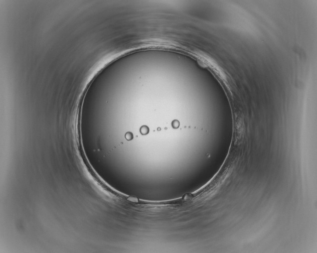 X0000113181391200909041334