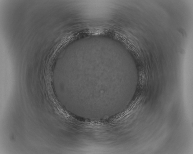 X0000113181393200909041333