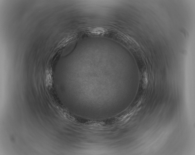 X0000113181394200909041333
