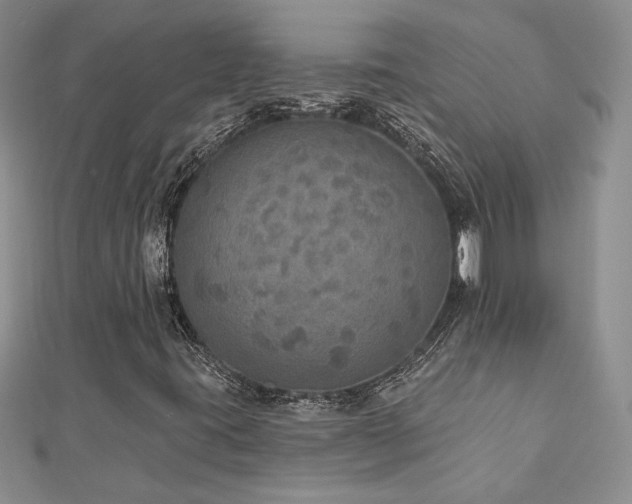 X0000113181395200909041333