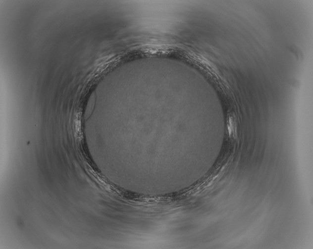 X0000113181396200909041333