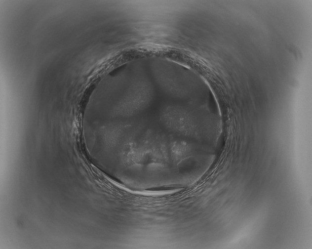 X0000113181397200909041333