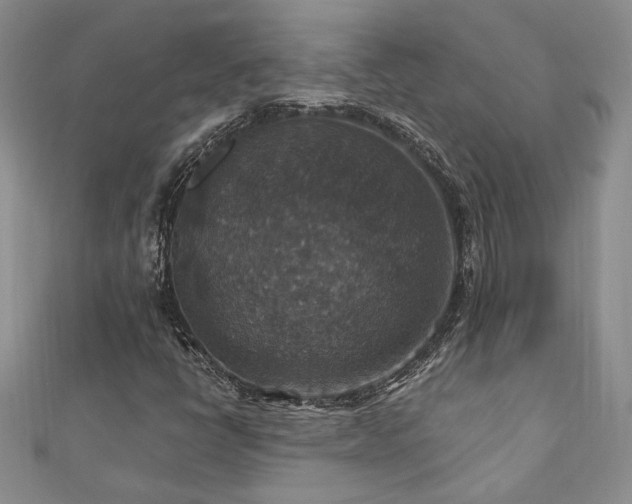 X0000113181398200909041333