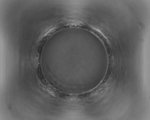 X0000113181399200909041333