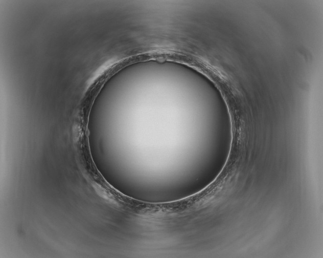 X0000113181400200909041333