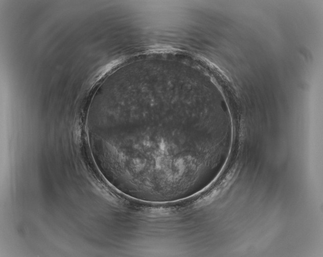 X0000113181401200909041333
