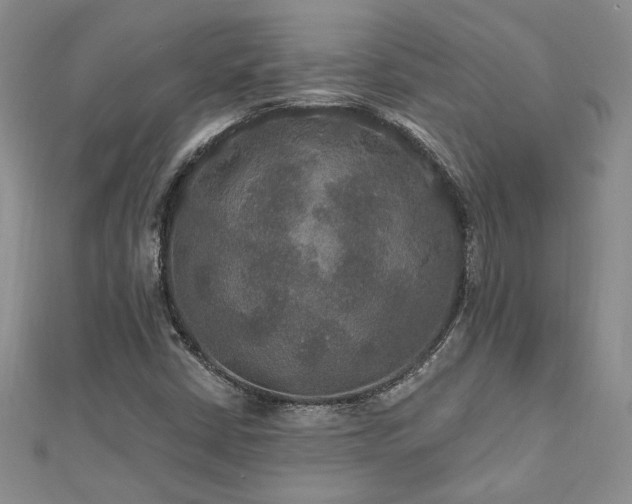 X0000113181402200909041333