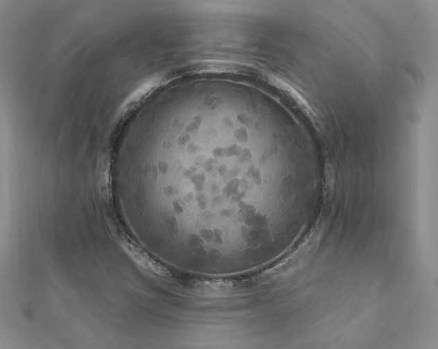 X0000113181403200909041333