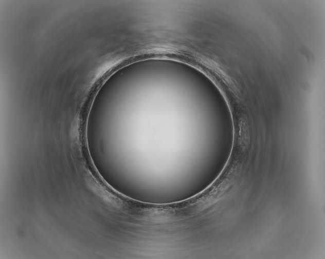 X0000113181404200909041333