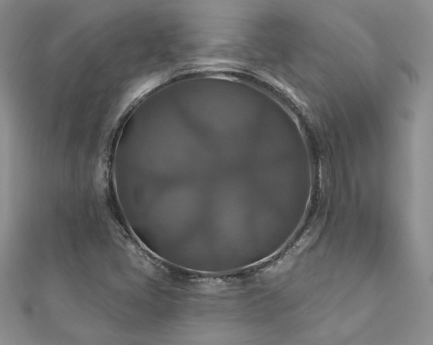X0000113181405200909041333