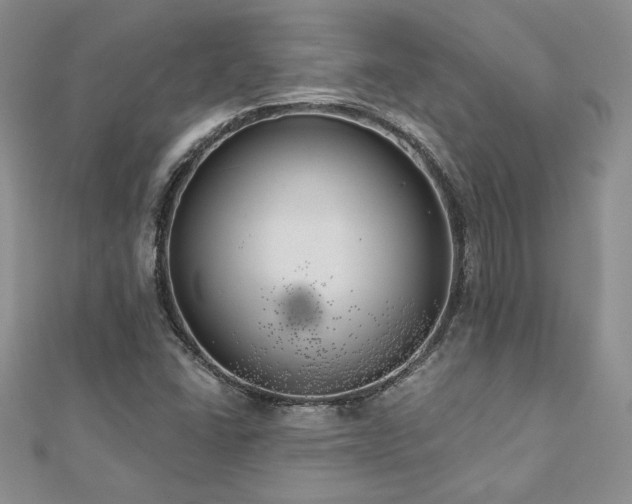 X0000113181406200909041333