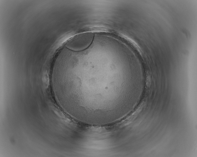 X0000113181407200909041333