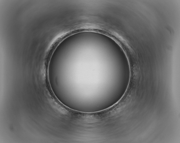 X0000113181408200909041333