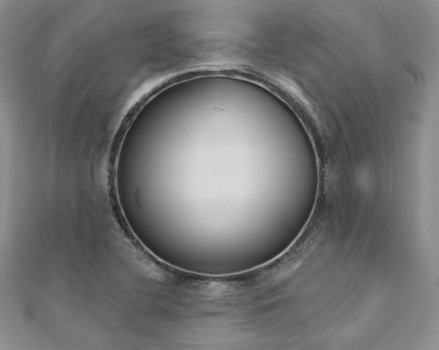 X0000113181412200909041333