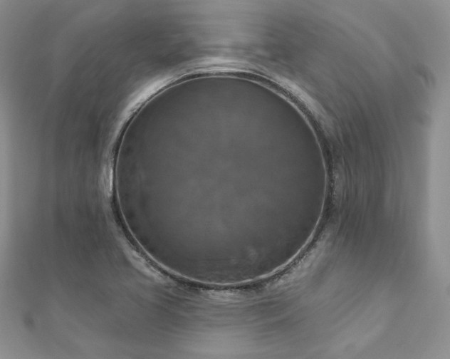 X0000113181413200909041333