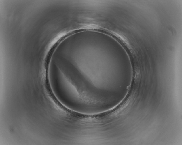 X0000113181414200909041333