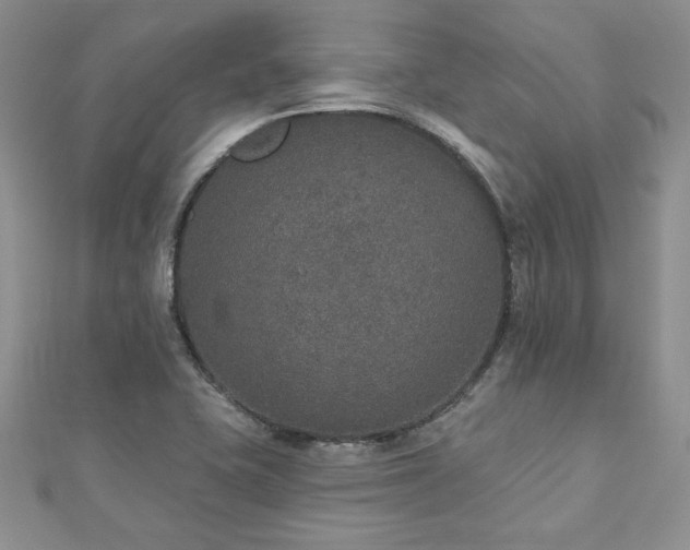 X0000113181415200909041333