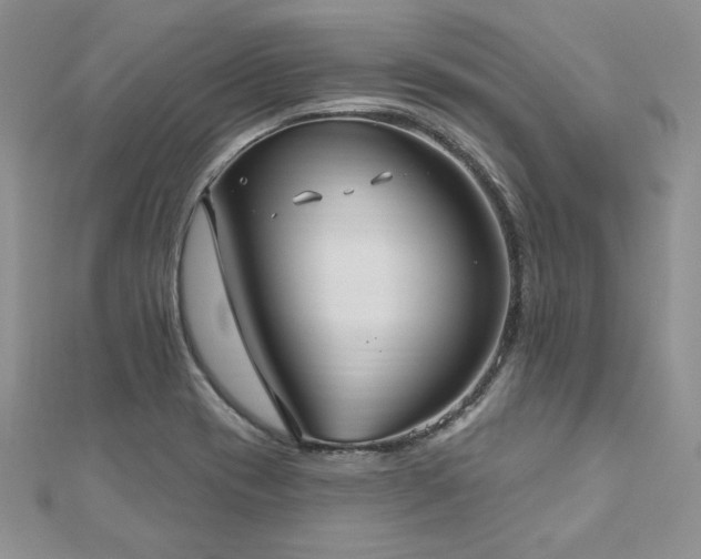 X0000113181417200909041333