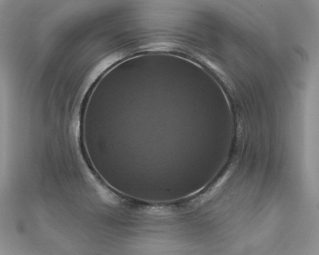 X0000113181418200909041333