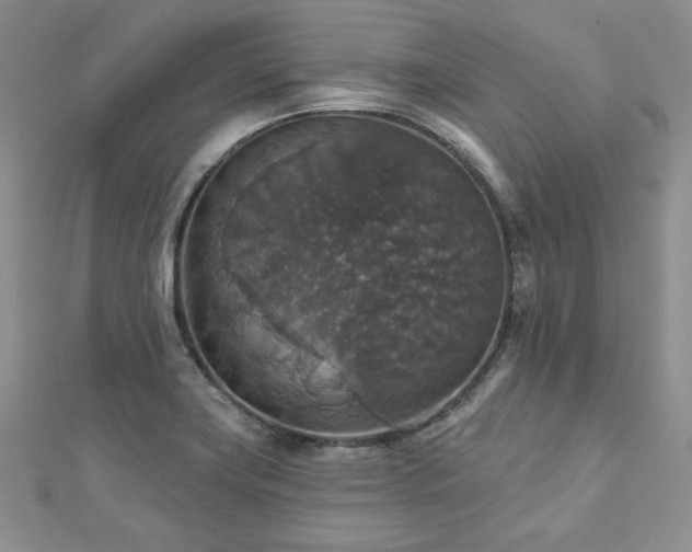 X0000113181419200909041333