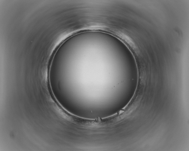 X0000113181420200909041333