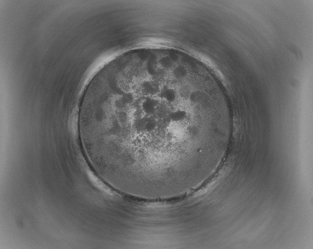 X0000113181421200909041334