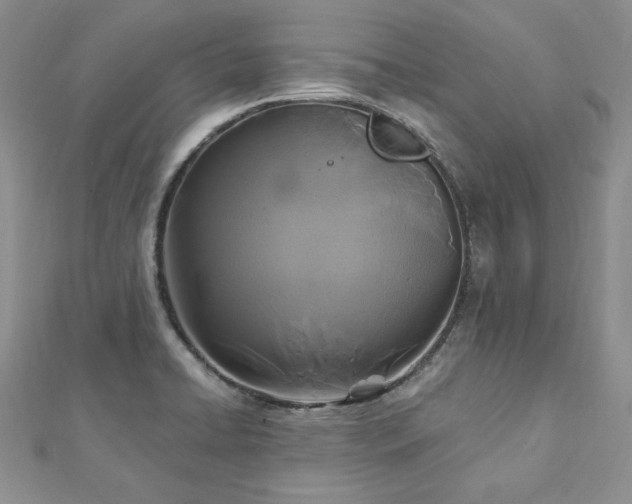 X0000113181422200909041334