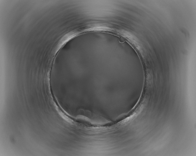 X0000113181425200909041334