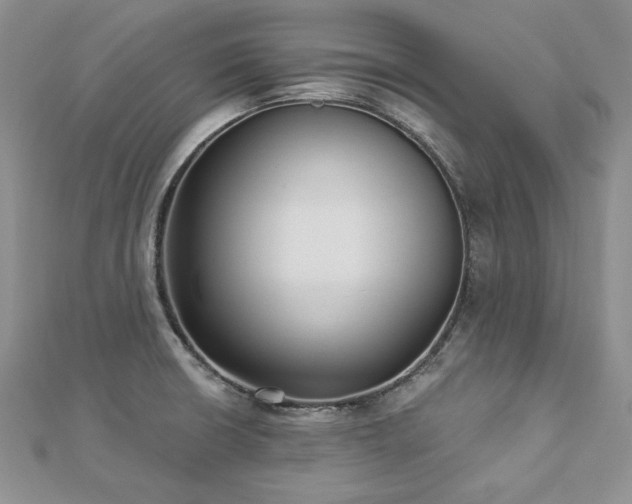 X0000113181426200909041334