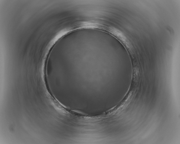X0000113181427200909041334