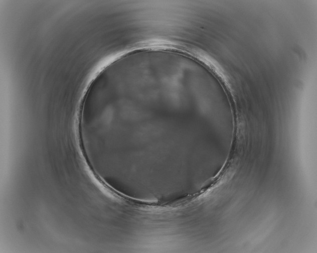 X0000113181429200909041334