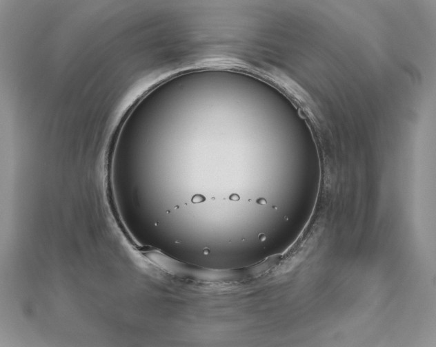 X0000113181430200909041334