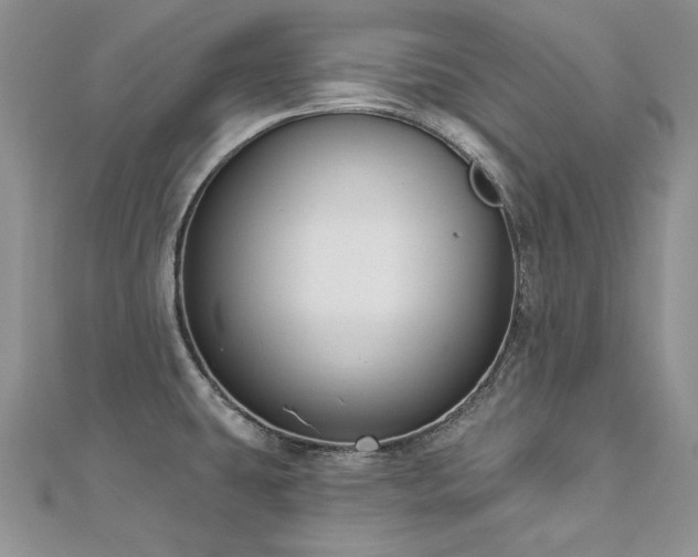 X0000113181431200909041334