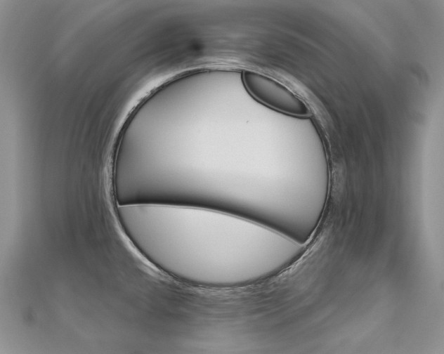 X0000113181432200909041334