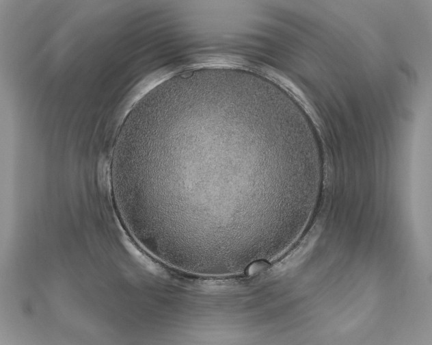 X0000113181433200909041334