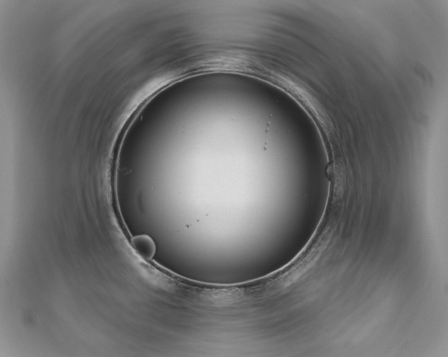 X0000113181434200909041334