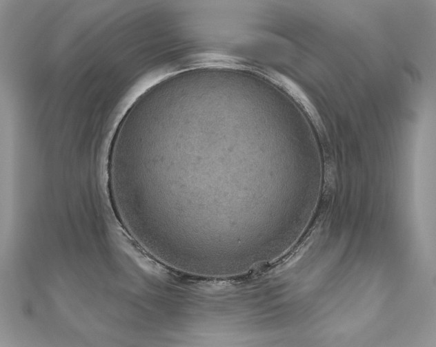 X0000113181435200909041334