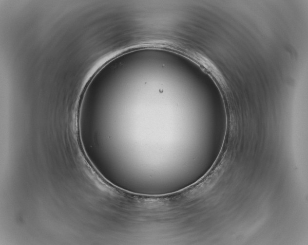 X0000113181436200909041334