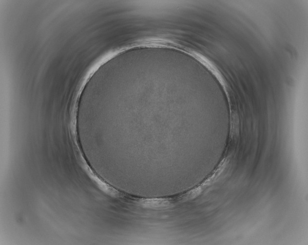X0000113181437200909041334