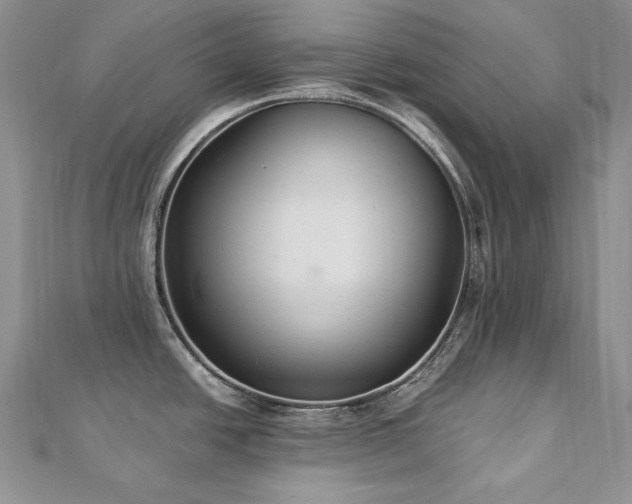 X0000113181438200909041334