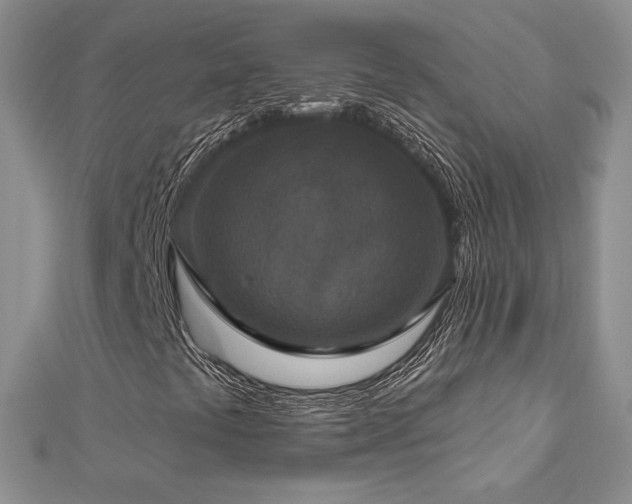 X0000113181441200909041333