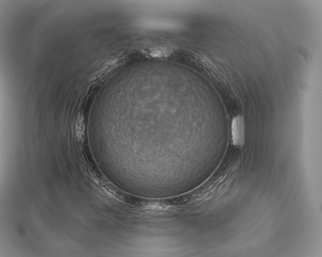 X0000113181443200909041333