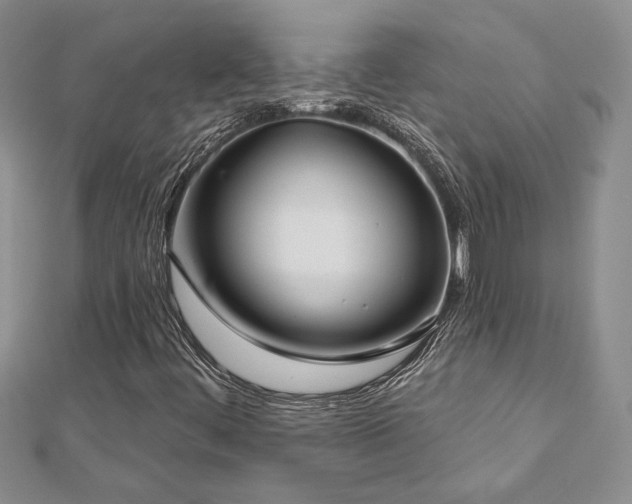 X0000113181444200909041333