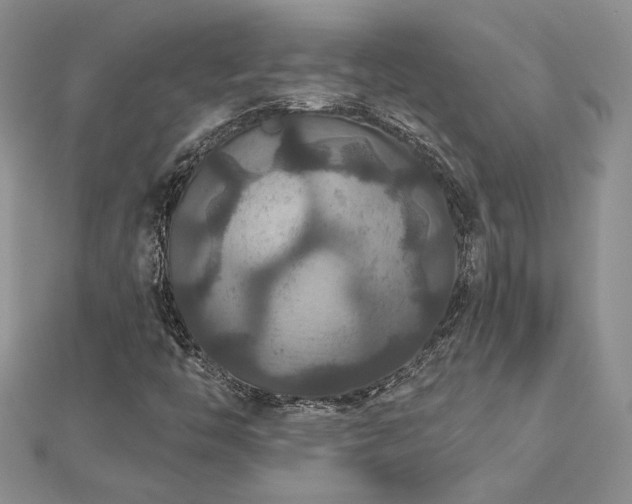 X0000113181446200909041333