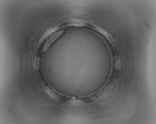 X0000113181448200909041333