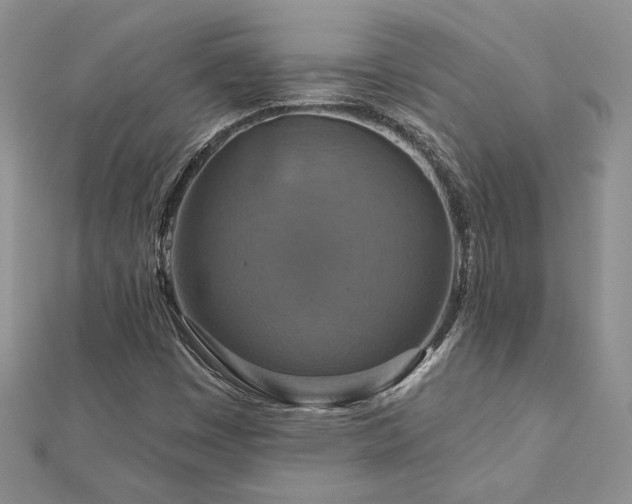 X0000113181449200909041333